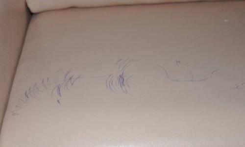 Чем отмыть чернила с кожи дивана. Как убрать следы от пасты?