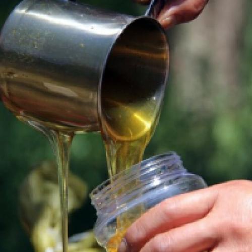 Как сохранить мед жидким, чтобы он не засахарился. Как хранить мед