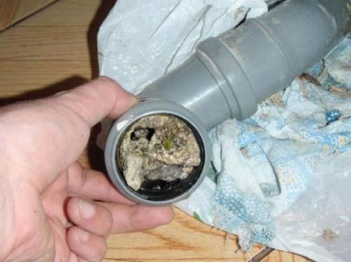 Запах из раковины на кухне. Почему воняет канализацией из раковины на кухне