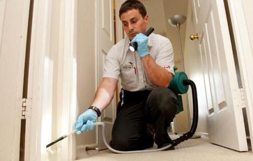 Обработка квартиры от насекомых. Концентраты 04 Обработка квартиры от насекомых. Концентраты 04