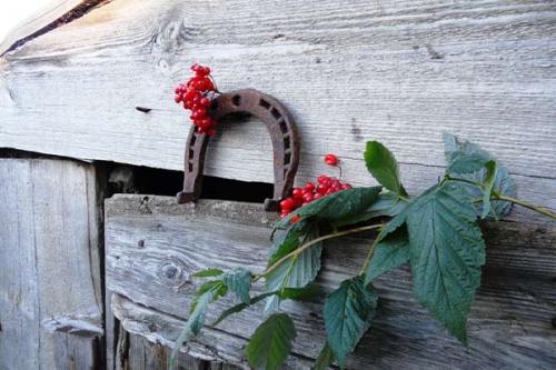 Подкова над дверью примета. Найти подкову: что значит примета для нашедшего?