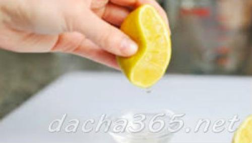 Народное средство от запаха кошачьей мочи. Способы устранения запаха от котов в квартире