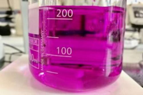 Как убрать запах кошачьей мочи с пола в домашних условиях. Убрать запах кошачьей мочи народными средствами