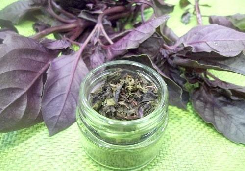 Приправа из базилика на зиму. Как заготовить базилик на зиму — ТОП 15 лучших рецептов