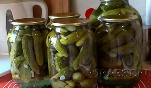 Маринованные огурцы на зиму для хранения в квартире. 8 самых хрустящих рецептов маринованных огурцов в банках на зиму 2022-2023