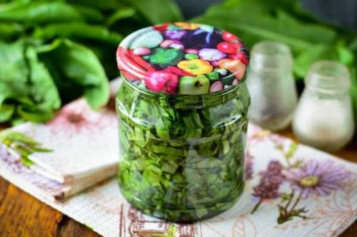 Как хранить базилик на зиму. Базилик на зиму: 20 рецептов, которые понравятся всей семье