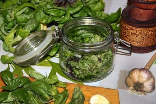 Засолить базилик на зиму. Базилик на зиму: 20 рецептов, которые понравятся всей семье