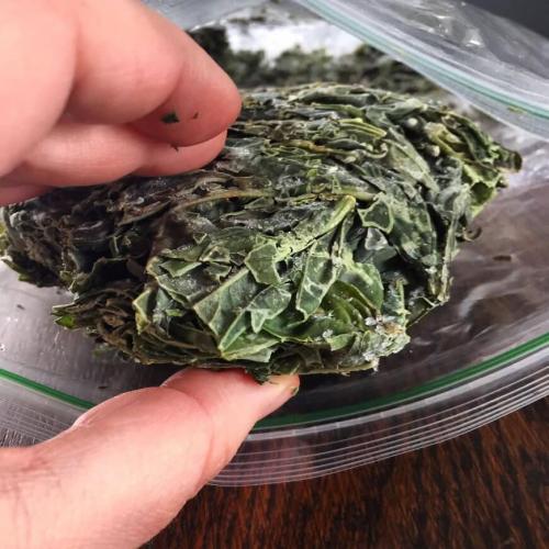 Как хранить базилик на зиму. Как заморозить базилик впрок