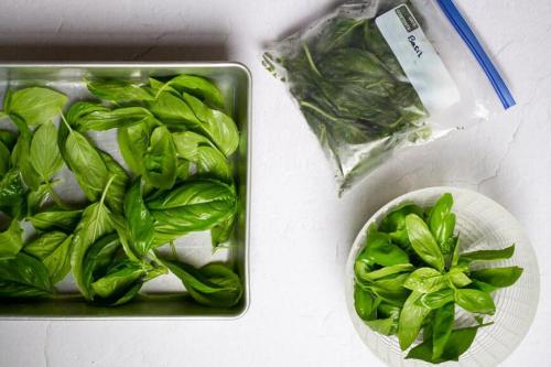Базилик на зиму сушить или заморозить. Как заморозить базилик впрок