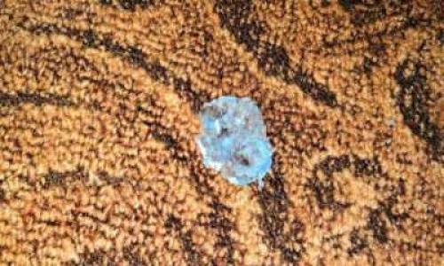 Как убрать слайм с ковра с длинным ворсом. Как очистить палас от засохшего слайма в домашних условиях?