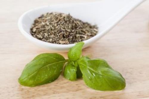 Базилик с чесноком на зиму. Как заготовить базилик на зиму