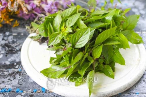 Хранение свежего базилика в домашних условиях. Особенности хранения в домашних условиях 16