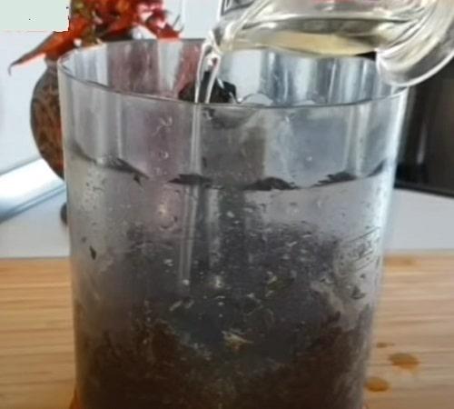 Что можно сделать из базилика на зиму. Соус из базилика на зиму – лучшие рецепты заготовки в домашних условиях