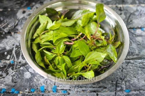 Хранение свежего базилика в домашних условиях. Особенности хранения в домашних условиях 17