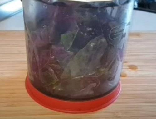 Что можно сделать из базилика на зиму. Соус из базилика на зиму – лучшие рецепты заготовки в домашних условиях