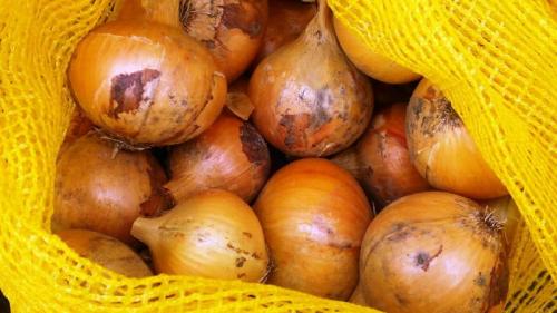 Как сохранить лук до весны. Пошаговое руководство, как сохранить лук севок до весны в домашних условиях