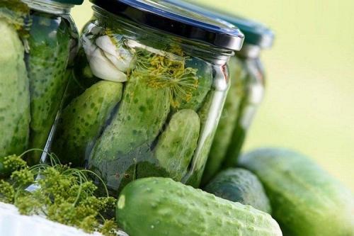 Огурцы, как свежие на зиму. 20 очень вкусных заготовок из огурцов на зиму