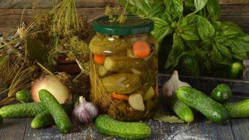 Сколько можно хранить огурцы перед засолкой. Как хранить соленые огурцы в квартире: сроки и условия, полезные советы