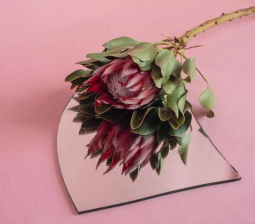 Зеркало разбилось на счастье. К чему разбилось зеркало: полное толкование и приметы