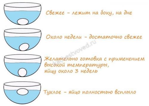Как проверить, что яйцо свежее. Как проверить яйца на свежесть в домашних условиях
