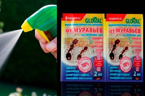 Лучшее средство от муравьев в квартире. Обзор популярных профессиональных средств