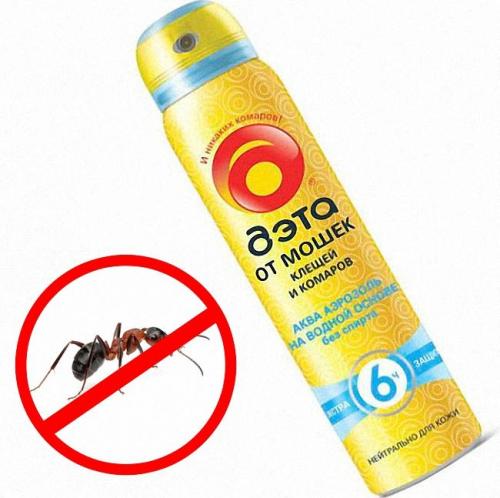 Лучшее средство от муравьев в квартире. Обзор популярных профессиональных средств