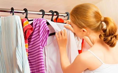 Народное средство от моли в домашних условиях. Как избавиться от моли: все действенные способы