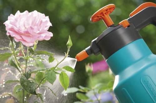 Средства для борьбы с насекомыми. Химические средства для борьбы с вредителями растений лучшие препараты