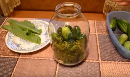 Как сделать соленые огурцы на зиму в банках самый простой способ. Хрустящие соленые огурцы холодным способом. Рецепт на 3 литровую банку