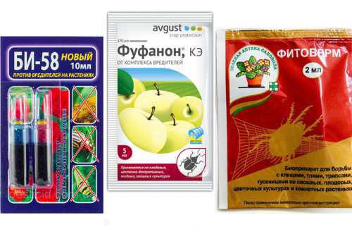 Средства для борьбы с насекомыми. Химические средства для борьбы с вредителями растений лучшие препараты