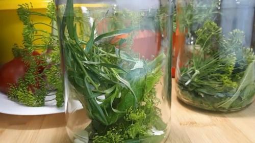 Соленые огурцы на зиму в банках для хранения в квартире. Солим огурцы в банках с укропом и чесноком