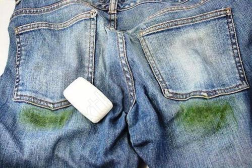 Как отстирать траву с одежды цветной. Чем вывести пятно от травы?