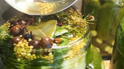 Соленые огурцы на зиму в банках для хранения в квартире. Солим огурцы в банках с укропом и чесноком