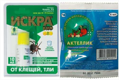 Средства для борьбы с насекомыми. Химические средства для борьбы с вредителями растений лучшие препараты