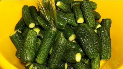 Соленые огурцы на зиму в банках для хранения в квартире. Солим огурцы в банках с укропом и чесноком