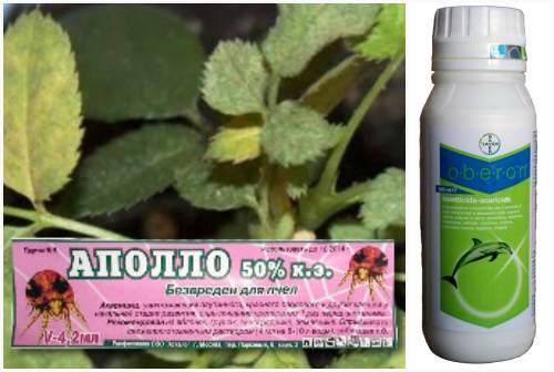 Средства для борьбы с насекомыми. Химические средства для борьбы с вредителями растений лучшие препараты
