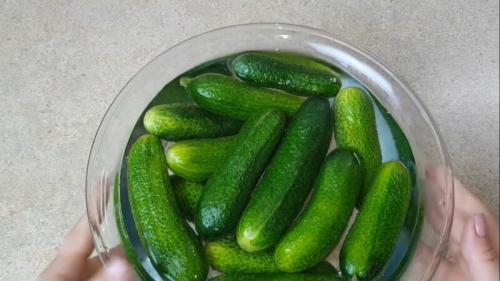 Как засолить огурцы в домашних условиях вкусно и быстро. Малосольные огурцы быстрого приготовления — 6 рецептов, чтобы они получились хрустящие и сочные