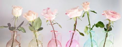 Что нужно сделать, чтобы розы дольше простояли в вазе с водой. Как сохранить срезанные розы свежими на 2-3 недели