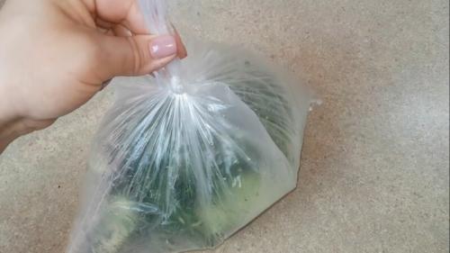 Как засолить огурцы в домашних условиях вкусно и быстро. Малосольные огурцы быстрого приготовления — 6 рецептов, чтобы они получились хрустящие и сочные