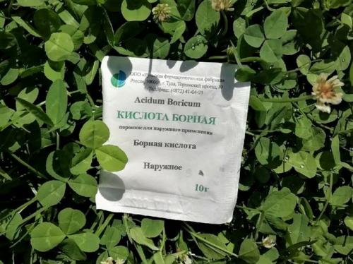 Борная кислота жидкая применение в саду и огороде. Зачем и как использовать борную кислоту для растений