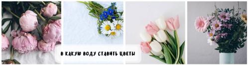 В Какую воду Ставить цветы, чтобы дольше стояли. В Какую Воду Ставить Цветы – Какие Питательные Компоненты Добавить В Воду