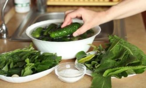 Как засолить огурцы в домашних условиях вкусно и быстро. Хрустящие малосольные огурцы в кастрюле быстро – 7 классических рецептов приготовления