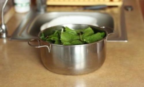 Как засолить огурцы в домашних условиях вкусно и быстро. Хрустящие малосольные огурцы в кастрюле быстро – 7 классических рецептов приготовления