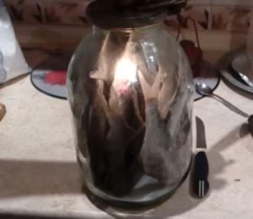 Как сохранить сушеную рыбу в стеклянной банке. Способ 2: стеклянная банка