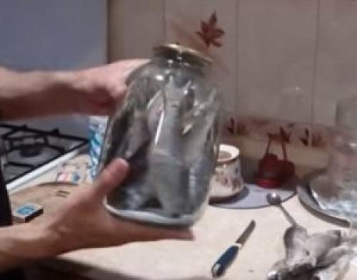 Как сохранить сушеную рыбу в стеклянной банке. Способ 2: стеклянная банка