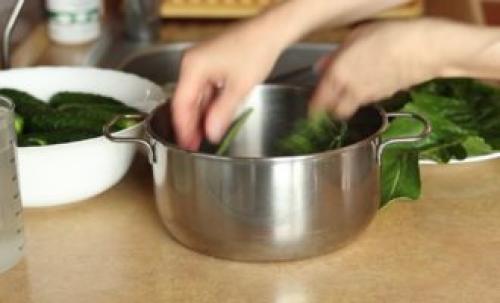 Как засолить огурцы в домашних условиях вкусно и быстро. Хрустящие малосольные огурцы в кастрюле быстро – 7 классических рецептов приготовления