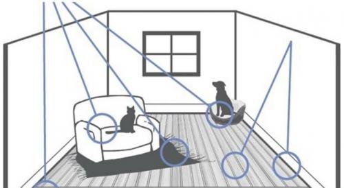 Уничтожение насекомых дома. Дезинсекция квартир генераторами холодного / горячего тумана 06 Уничтожение насекомых дома. Дезинсекция квартир генераторами холодного / горячего тумана 06