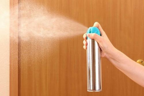 Средства от пищевой моли. Описание, размножение и образ жизни вредителя 01 Средства от пищевой моли. Описание, размножение и образ жизни вредителя 01