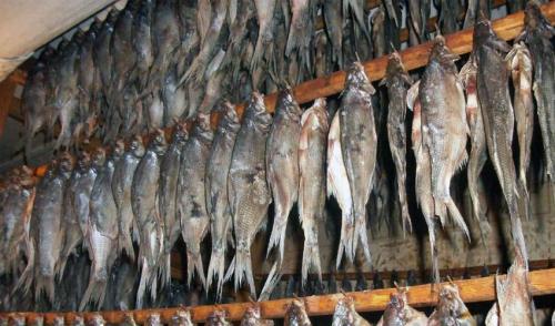 Где хранить вяленую рыбу. Хранение вяленой рыбы в домашних условиях (холодильнике, подвале, морозилке)