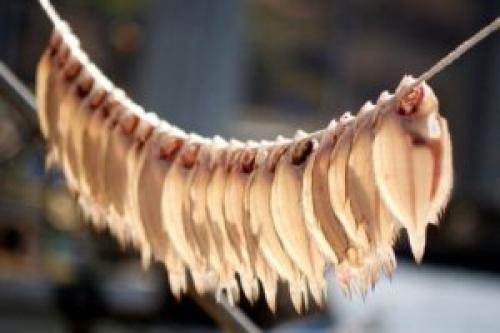 Как хранить сушеную рыбу в домашних условиях 03